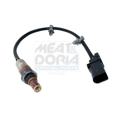 Oxygen Sensor
