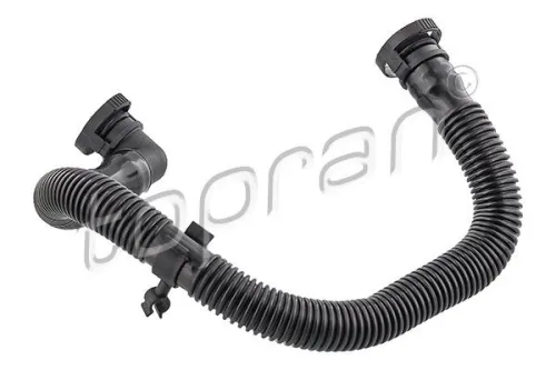 Hose, cylinder head cover ventilation