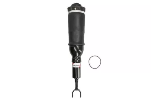 Air Suspension Strut