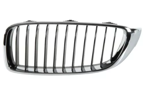 Radiator Grille