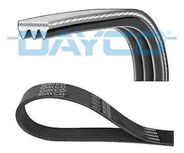 V-ribbed Belt