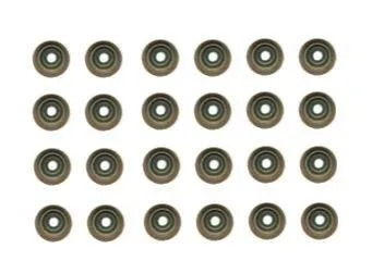 Seal Set, valve stem