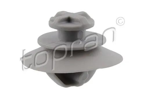 Clip, trim/protection strip