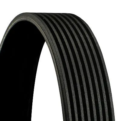 V-ribbed Belt