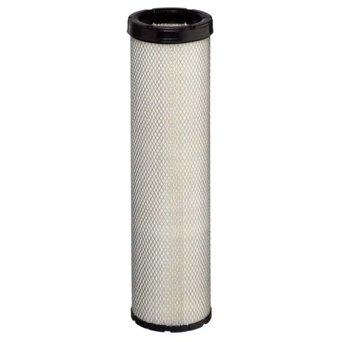 Secondary Air Filter