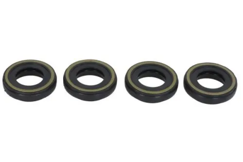 Seal, injector holder