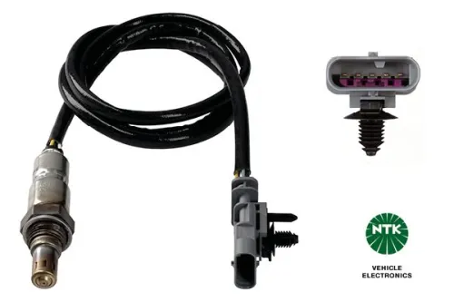 Oxygen Sensor