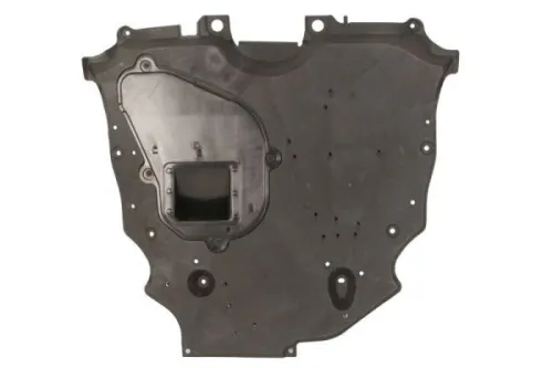 Engine Guard/Skid Plate