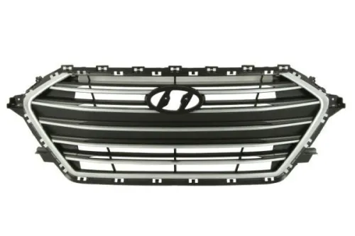 Radiator Grille