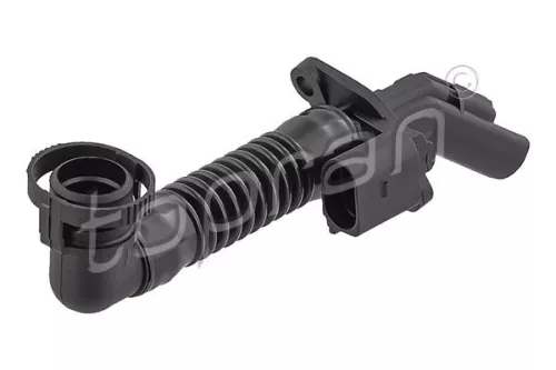 Hose, cylinder head cover ventilation