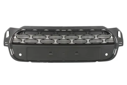 Radiator Grille
