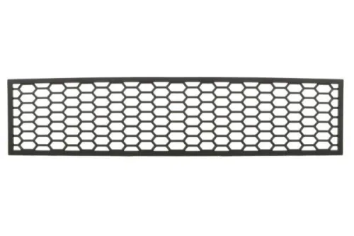 Engine Guard/Skid Plate