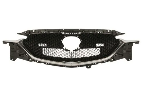 Radiator Grille