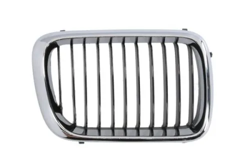 Radiator Grille
