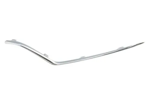 Trim/Protection Strip, bumper