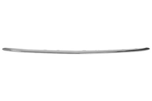 Trim/Protection Strip, bumper