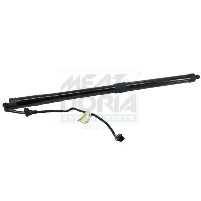 Gas Spring, tray (boot/cargo bay)