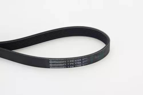 V-ribbed Belt
