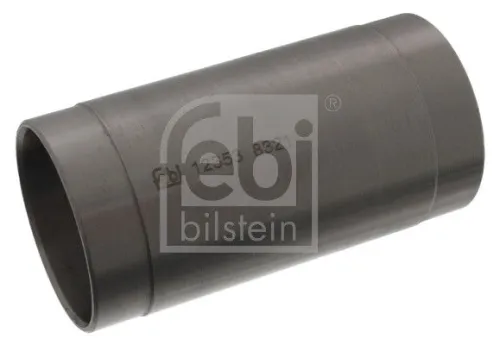 Bushing, leaf spring
