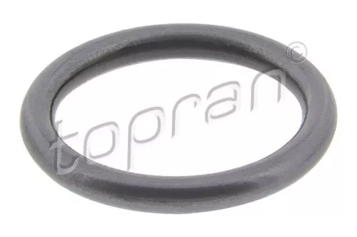 Seal Ring, injector
