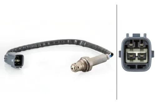 Oxygen Sensor