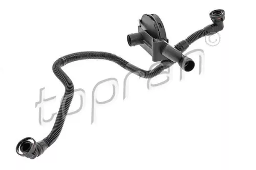 Hose, cylinder head cover ventilation