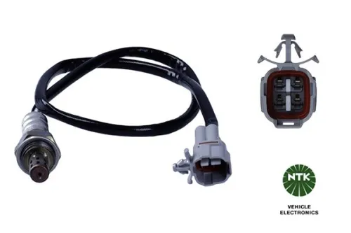 Oxygen Sensor
