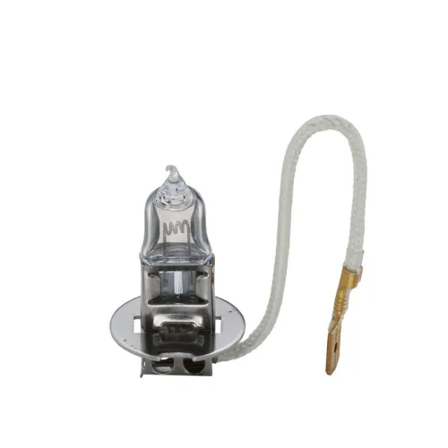 Bulb, front fog light