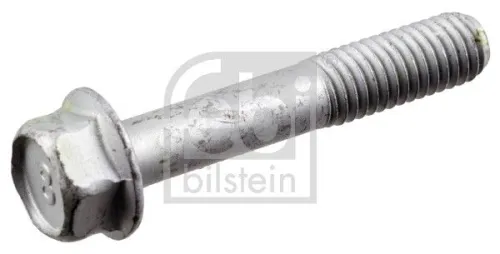 Bolt, tensioner pulley