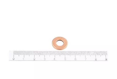 Seal, injector holder