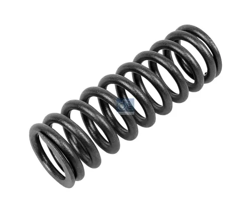 Valve Spring