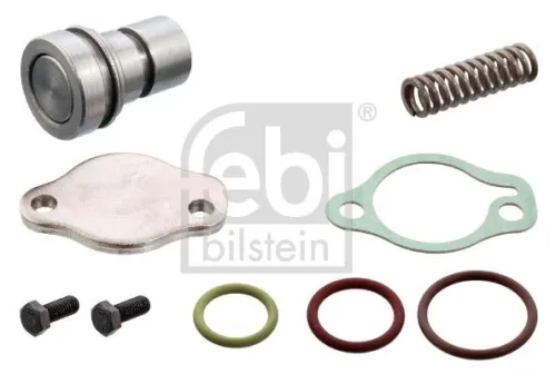 Repair Kit, pressure relief valve (air compressor)