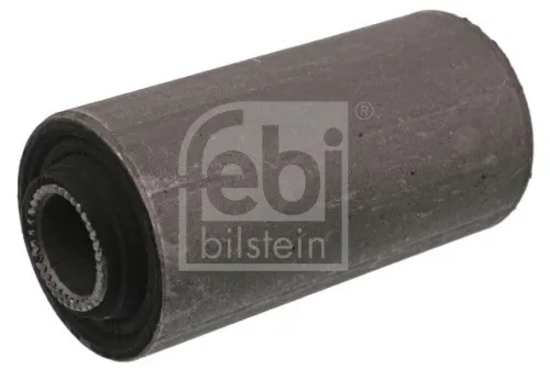 Bushing, leaf spring