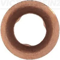 Seal Ring, injector