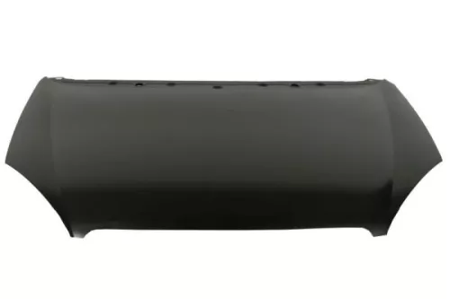Bonnet