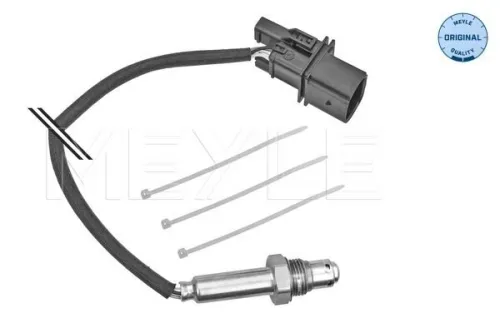 Oxygen Sensor