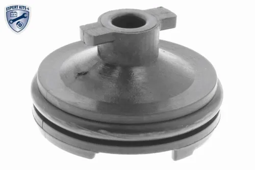 Screw Plug, oil sump