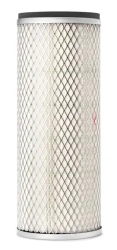 Secondary Air Filter