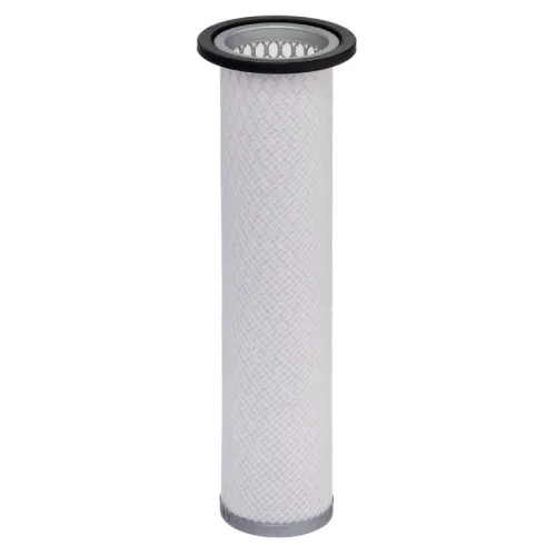 Secondary Air Filter