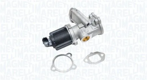 EGR Valve