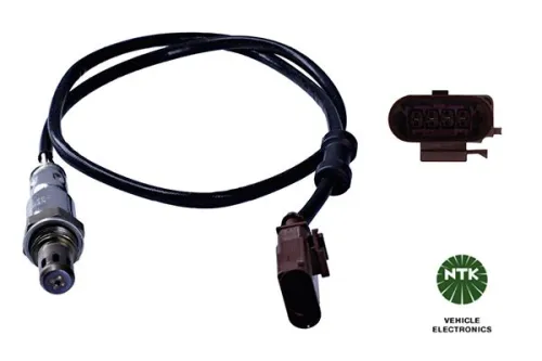 Oxygen Sensor