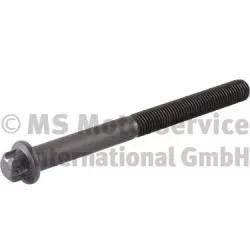 Cylinder Head Bolt