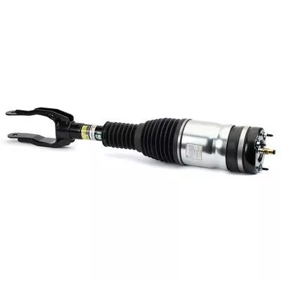 Air Suspension Strut
