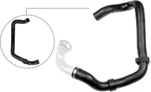 Radiator Hose