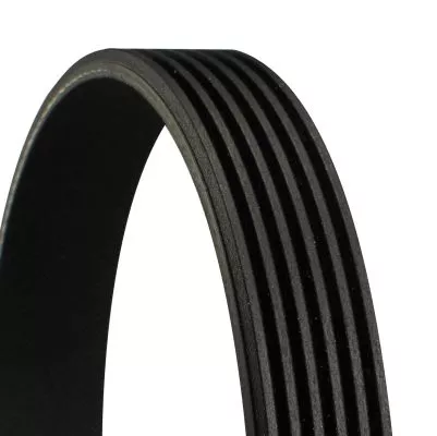 V-ribbed Belt