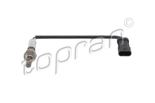 Oxygen Sensor