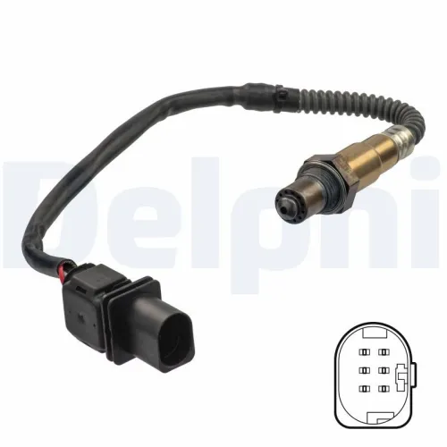 Oxygen Sensor