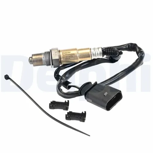 Oxygen Sensor