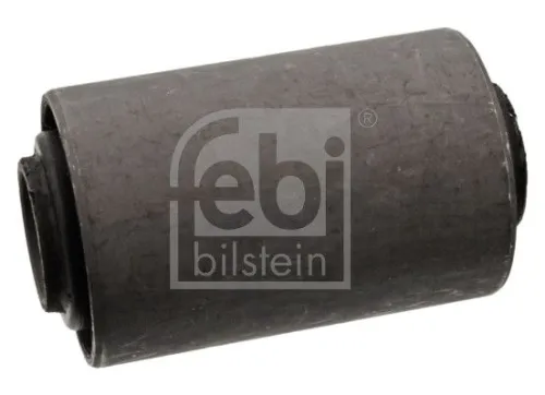 Bushing, leaf spring