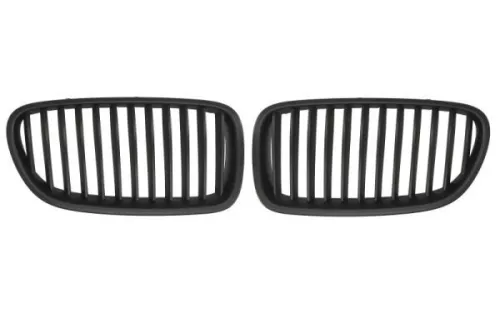Radiator Grille